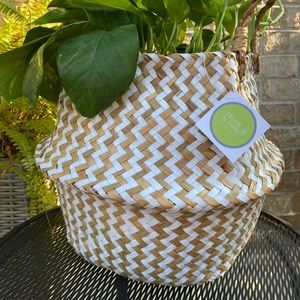 Back in Stock !! Large Seagrass basket- storage/ plants